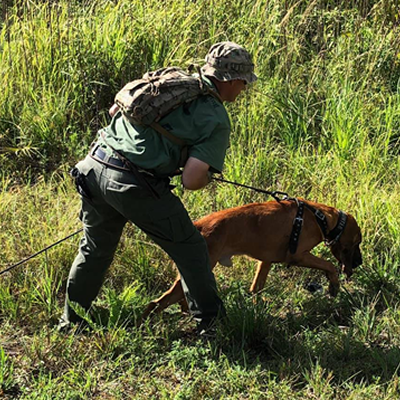 K 9 Tracking Tips